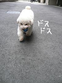画像 6424.jpg