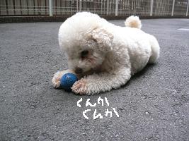 画像 6425.jpg