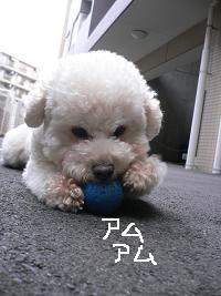 画像 6426.jpg