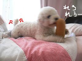 画像 6428.jpg