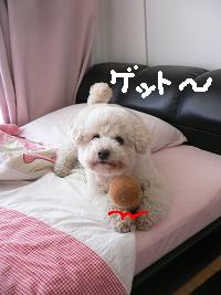 画像 6429.jpg