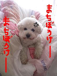 画像 6431.jpg