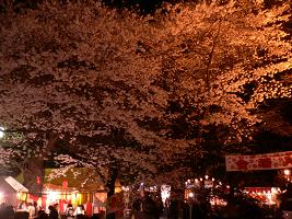 画像 6450.jpg