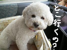 画像 6451.jpg