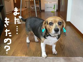画像 6454.jpg