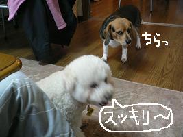 画像 6456.jpg