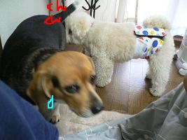 画像 6457.jpg