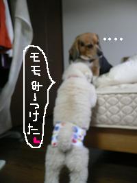 画像 6460.jpg