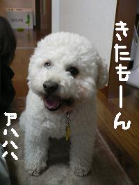画像 6461.jpg