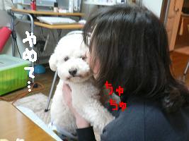画像 6464.jpg