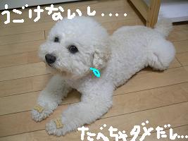 画像 8201.jpg