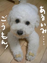 画像 8202.jpg