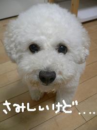 画像 8203.jpg