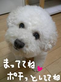 画像 8204.jpg