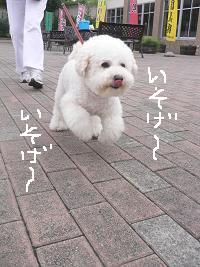 画像 8205.jpg