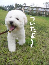 画像 8207.jpg