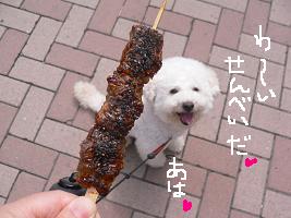 画像 8213.jpg