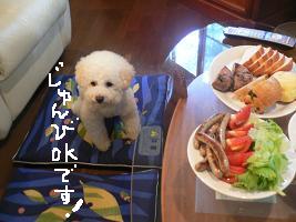 画像 8235.jpg