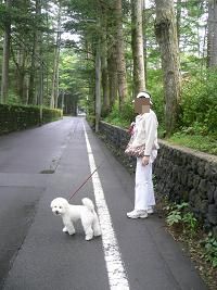 画像 8238.jpg
