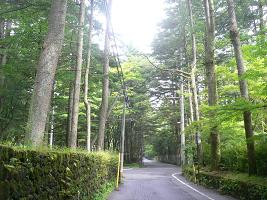 画像 8239.jpg