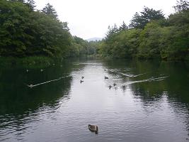 画像 8243.jpg