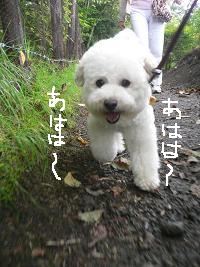 画像 8246.jpg