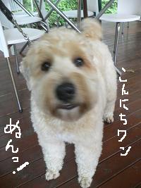 画像 8253.jpg
