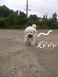 画像 8255.jpg