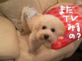 画像 8272.jpg
