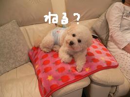 画像 8273.jpg