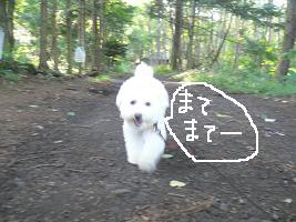 画像 8282.jpg