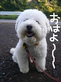 画像 8285.jpg