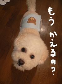 画像 8288.jpg