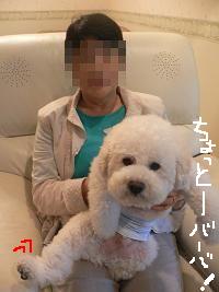 画像 8293.jpg