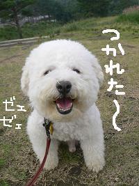 画像 8307.jpg