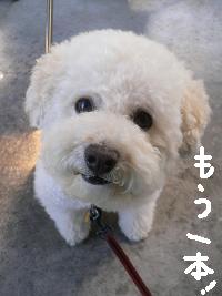 画像 8319.jpg