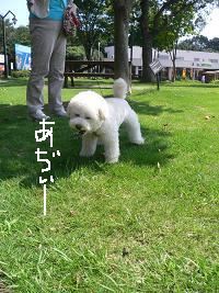 画像 8326.jpg