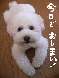 画像 8329.jpg