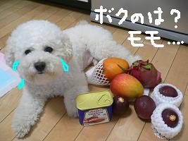画像 8331.jpg