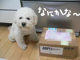 画像 8333.jpg