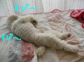 画像 8347.jpg