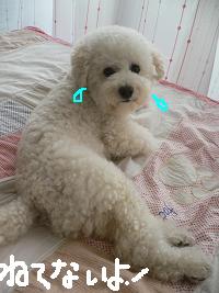 画像 8348.jpg