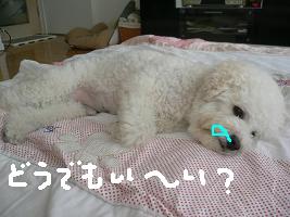 画像 8351.jpg