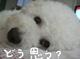画像 8353.jpg