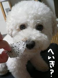 画像 8359.jpg