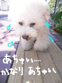 画像 8384.jpg
