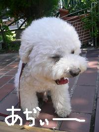 画像 8385.jpg