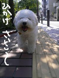 画像 8387.jpg