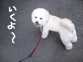 画像 8388.jpg