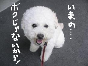 画像 8389.jpg